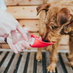 Hunter Outdoor Trinkflasche Mit Silikonnapf 6 Hunter Outdoor Trinkflasche Mit Silikonnapf -SPORTHUND Verkäufe hunter trinkflasche list anwendung2 7072483MyvucusaO436w