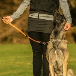 Niggeloh Unterordnungsleine De Luxe -SPORTHUND Verkäufe knut fuchs unterordnungsleine de luxe 70cm anwendung 7017076JD9gTMk4HQRlN