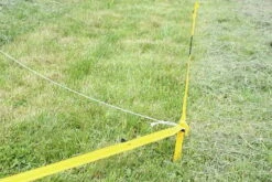 SPORTHUND Verkäufe -SPORTHUND Verkäufe longiersetverlegt 7860015 20000o7egnxQhZcryu