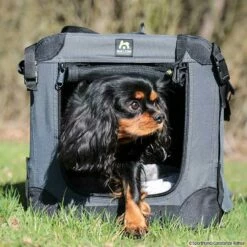Maelson Soft Kennel Hundebox 7 Maelson Soft Kennel Hundebox -SPORTHUND Verkäufe maelson softkennel crt 6543 68372058W45ZjMjJcaX9