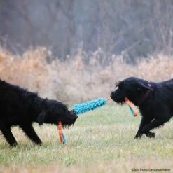 MOPIK KRABIK -SPORTHUND Verkäufe mopik krabik orang blau p4dc0187 7021325dnlCObf3Exuw9