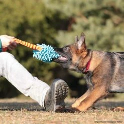 MOPIK KRABIK -SPORTHUND Verkäufe mopik krabik orang blau p4dc3547 7021325mBLNYODEqWCTP