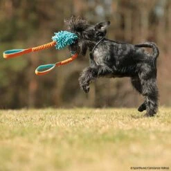 MOPIK KRABIK -SPORTHUND Verkäufe mopik krabik orang blau p4dc5387 7021325cX8i6p3N6jj4N