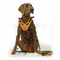 Niggeloh Geschirr Mantrailing 5 Niggeloh Geschirr Mantrailing -SPORTHUND Verkäufe niggeloh geschirr mantrailing anwendung 7017100wkXplHKuEBTA8