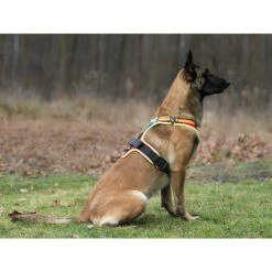 Hundeführgeschirr Follow Sport PLUS -SPORTHUND Verkäufe niggeloh hundefuehrgeschirr follow sport plus anwendung2 7017055