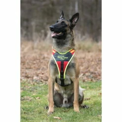 Hundeführgeschirr Follow Sport PLUS -SPORTHUND Verkäufe niggeloh hundefuehrgeschirr follow sport plus anwendung 7017055