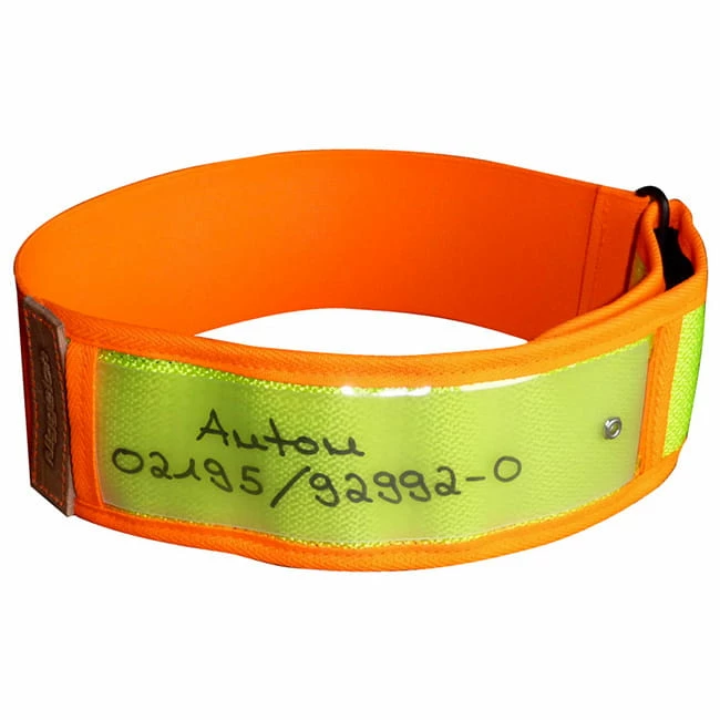 Niggeloh Warnhalsung 1 Niggeloh Warnhalsung