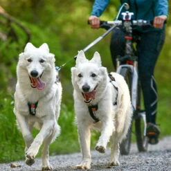 Non-Stop Dogwear Bike Antenne KlickFix -SPORTHUND Verkäufe nonstop dogware bike antenne klickfix anwendung 7022132JSkWLk5WWGZz5
