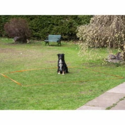 Obedience Starter-Set -SPORTHUND Verkäufe obedience start set anwendung procyon 7030363