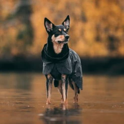 SPORTHUND Verkäufe -SPORTHUND Verkäufe paikka visibility raincoat dark anwendung 7226395m