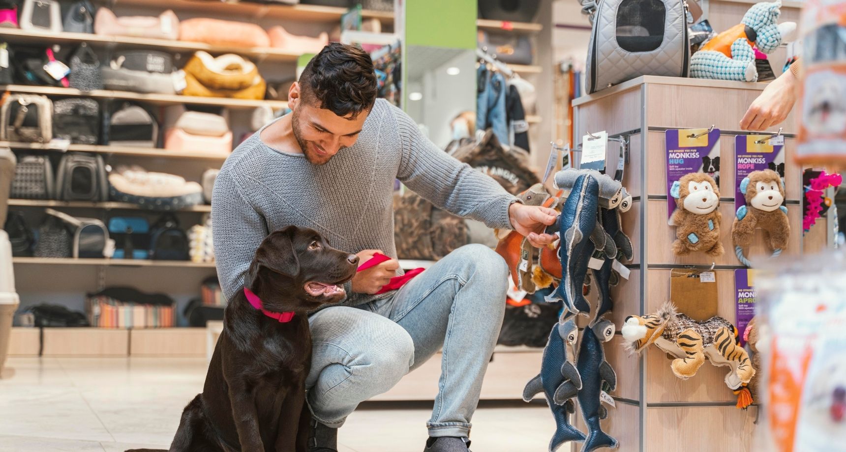 SPORTHUND Verkäufe -SPORTHUND Verkäufe pet24