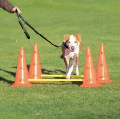 Trixie Pylonen-Hindernis-Set -SPORTHUND Verkäufe pylonen hindernis set gross anwendung 7030333