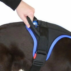 Sporthund Nylon Geschirr -SPORTHUND Verkäufe sporthund nylon geschirr griff 7262055Hc4ZJVZuY0cbG