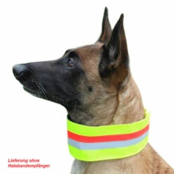 SPORTHUND Verkäufe -SPORTHUND Verkäufe visupart hundeband fixpro halsband hundebild 4598101m